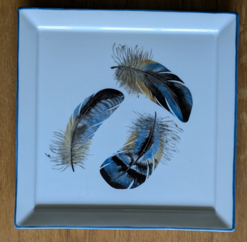 vide poche à déco de plumes